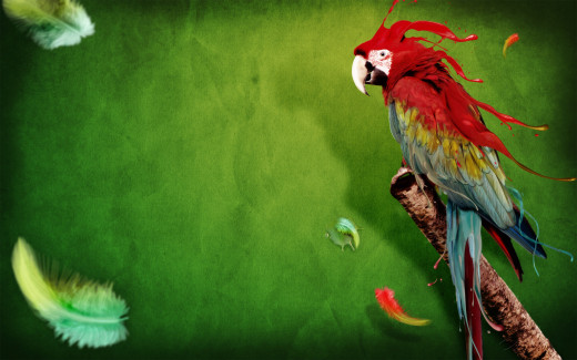 488800 (a): :2560x1600